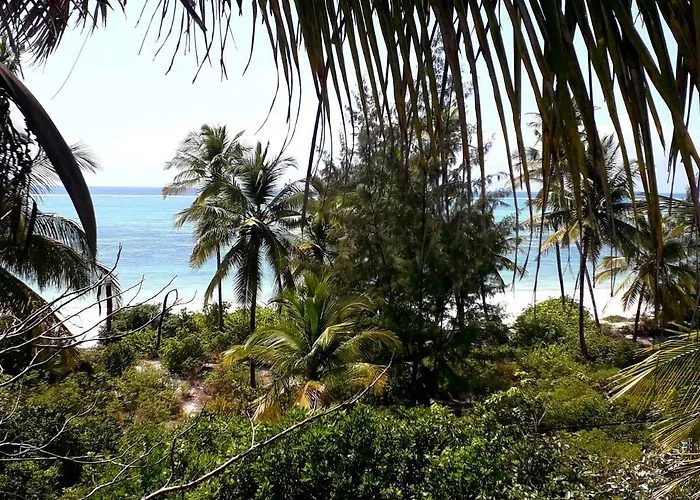 Naomi\'S Boutique Villa